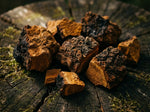 Chaga