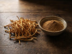 Cordyceps