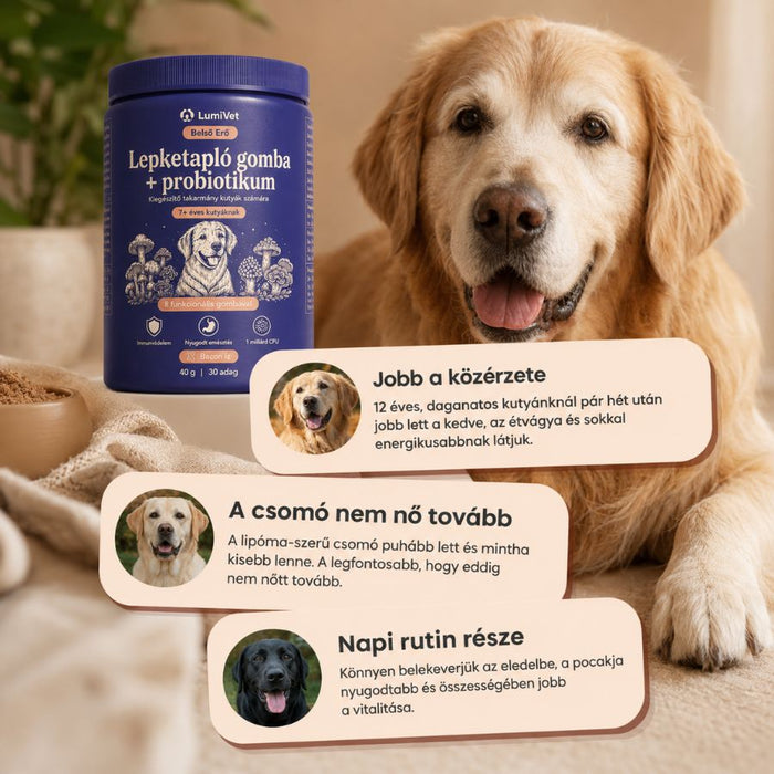 LumiVet™ Belső Erő – Lepketapló gomba + probiotikum kutyáknak