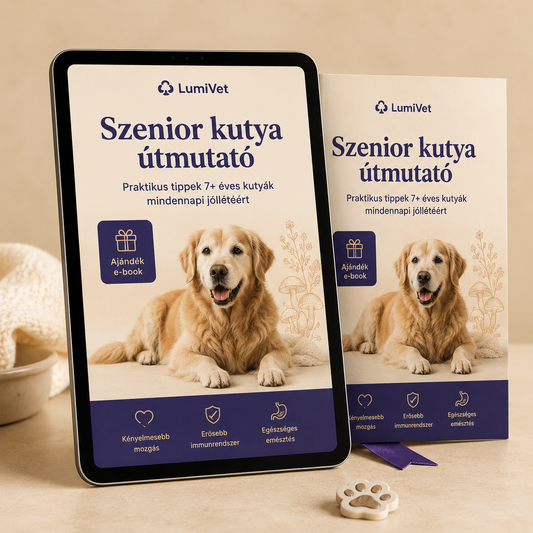 AJÁNDÉK szenior kutya útmutató