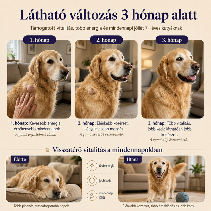LumiVet™ Belső Erő – Lepketapló gomba + probiotikum kutyáknak
