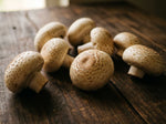 Shiitake